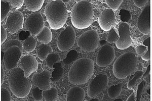 聚乳酸-四氧化三铁纳米复合发泡材料及其制备方法
