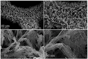 硫化钴锌纳米材料及其制备方法和应用