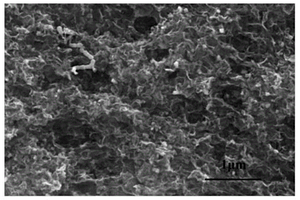 硼硫共掺杂石墨烯及制备方法及应用其制备AFB<Sub>1</Sub>的电化学传感器