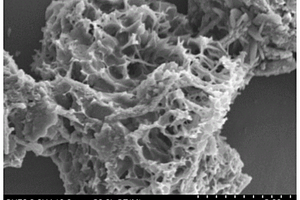 高分散金属纳米颗粒/生物质碳复合电极材料及其制备方法与应用