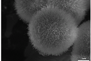 海胆状微球钴镍基电极材料及其制备方法和应用