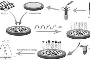 光纤LSPR适配体生物传感器及其制备方法和应用