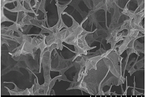 三维弹性氮掺杂的碳泡沫复合电极材料及其制备方法