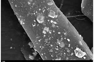 无机纳米粒子/纤维素/碳纳米管气凝胶及其制备方法