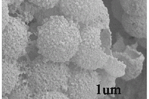 MOFs衍生的中空多孔碳微球的制备方法