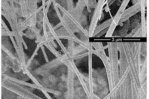聚甲基丙烯酸甲酯—硅纳米管复合义齿基托材料及其制备方法和应用