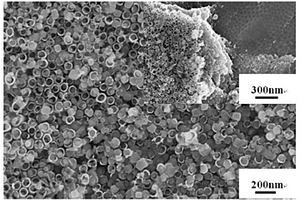 Cu2O-TiO2纳米管芯鞘结构及其制备方法