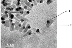 金纳米颗粒-三硫化二铋异质结纳米光催化材料、其制备方法及其降解污染物的应用