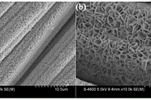金属杂原子掺杂的二硫化锡纳米片阵列作为无粘结剂钠离子电池负极材料的制备方法