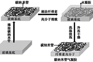 具有水传感功能的碳纳米管柔性导电气凝胶及其制备方法