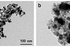 季铵盐-纳米银型磁性纳米抗菌复合粒子及其制备方法和应用