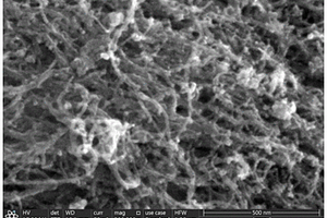 碳纳米管负载铁氧化物的制备方法和产品及其应用