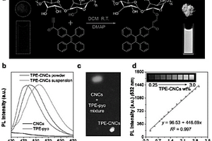 具有AIE特性的荧光纳米粒子、仿生纳米复合水凝胶致动器、制备方法及应用