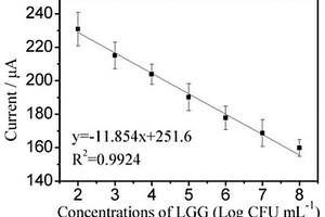 检测LGG的电化学免疫传感器及其制备和使用方法