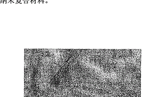 可用于制备纳米复合聚合物的组合物