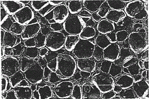 炭黑填充聚氯乙烯/乙丙橡胶复合型泡沫导电NTC材料的制备方法
