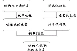 碳纳米管/纳米银焊膏导热材料及其制备方法