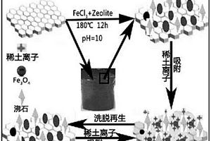 高效再生吸附稀土离子的三维磁性石墨烯/沸石材料的制备方法