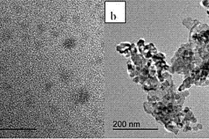 纳米氧化锌@碳量子点复合抗菌剂及其制备方法和应用