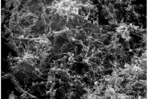 超硬复合相氮化碳多孔纳米链状粉体的制备方法