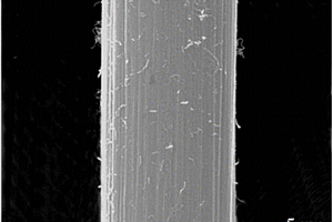 碳纤维表面直接绿色接枝碳纳米纤维的方法