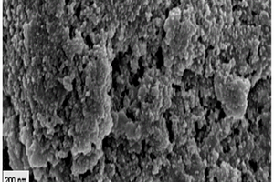 铂族金属修饰零价铁与复合氧化剂联用去除污水中抗生素