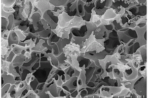 人工腐殖酸功能化的类胶体磁性生物炭的制备方法和应用
