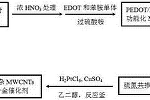 硫氮共掺杂碳纳米管载PtCu合金催化剂及其制备方法与应用