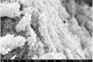 二硫化钼与石墨相氮化碳的三维网络框架的制备方法