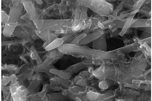 晶须表面包覆碳纳米管的混杂预制块制备方法