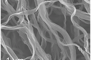 杂原子掺杂的多孔碳纳米带材料及其制备方法和应用