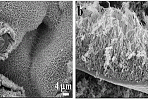 泡沫钛-氧化钛复合光电催化材料及其应用