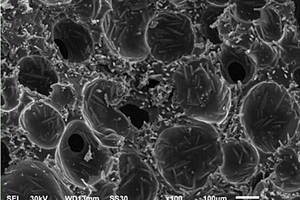 环氧树脂/镀镍碳纤维复合导电泡沫及其制备方法