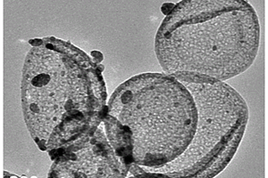 负载金属磷化物的多孔空心碳材料、其制备和应用