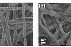 孔结构可控的聚丙烯腈/聚丙烯酸纳米纤维锂硫电池隔膜