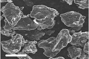 掺氮石墨烯‑硅复合负极材料及其制备方法、锂离子电池
