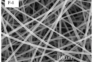 动态聚合物的静电纺丝方法及其所制备的纳米纤维