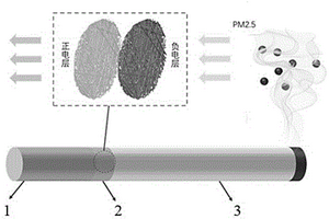 颗粒物自净化烟卷及其制备方法和应用