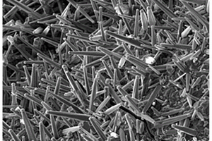 碳纤维表面原位自生弥散分布碳化物晶须及制备方法