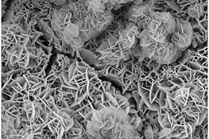 铁掺杂的四氧化三钴纳米薄膜及其制备方法及应用