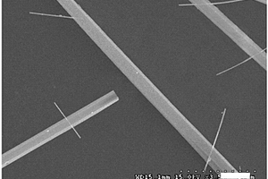 有机/金属纳米线异质结、其制备方法及其应用
