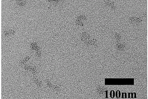 基于嵌段共聚物的Janus纳米颗粒及其制备方法