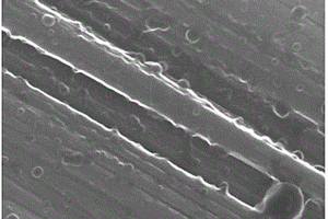 表面接枝聚合物改性碳纤维的方法