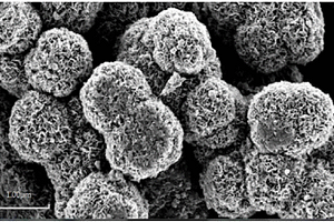 氮掺杂碳包覆花状纳米二硫化钼的制备方法