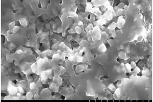 磷酸三钙与磷酸八钙复合生物陶瓷材料及其制备方法