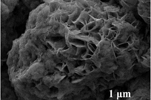 钨酸铋/贻贝壳复合光催化材料及其制备方法