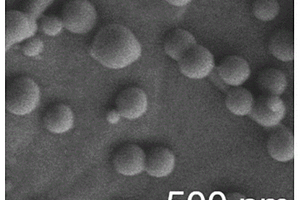 单原子分散的原位生长掺杂氮原子碳纳米球的石墨烯泡沫、制备方法及应用