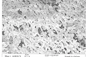 珊瑚状二氧化硅非晶纳/微米结构的制备方法