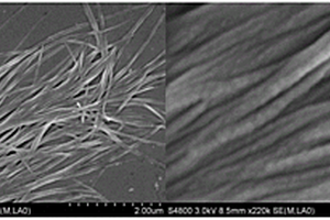 碳酸钙纳米线及其制备方法