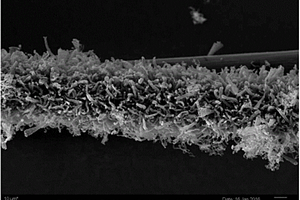 制备表面生长有碳纳米管的连续碳纤维的装置和方法